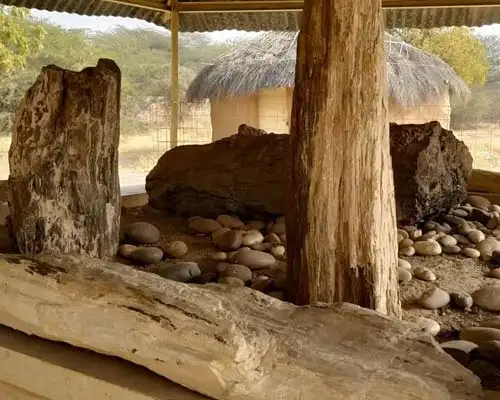 Akal Wood Fossil Park Jaisalmer