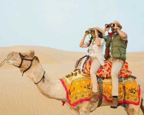 Camel Safari in Jaisalmer