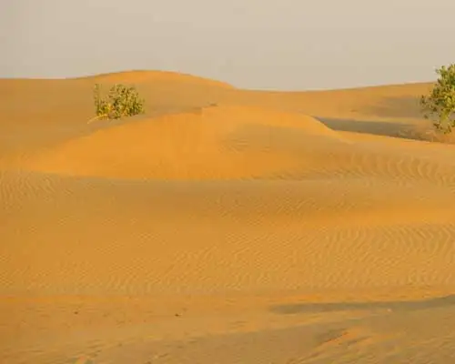 Khuri Sand Dunes in Jaisalmer